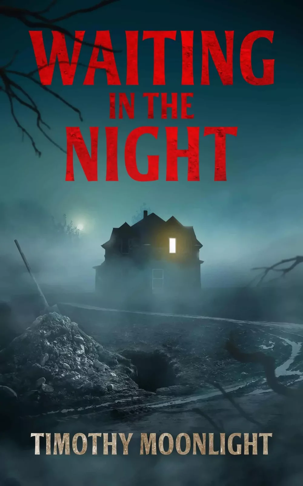 Waiting in the Night Book Cover
